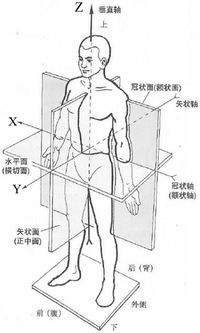 一种医学影像处理方法及装置、计算机设备- CN112508858A | PatentGuru