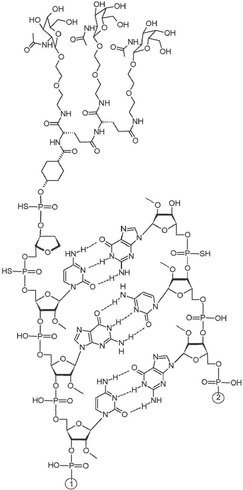 Rnai Agents For Hepatitis B Virus Infection Ep A