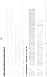 A61k51/12Patents | PatentGuru