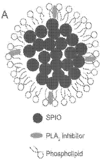 US20230203538A1 - In vivo targeting of Fibrosis by anti-CD5