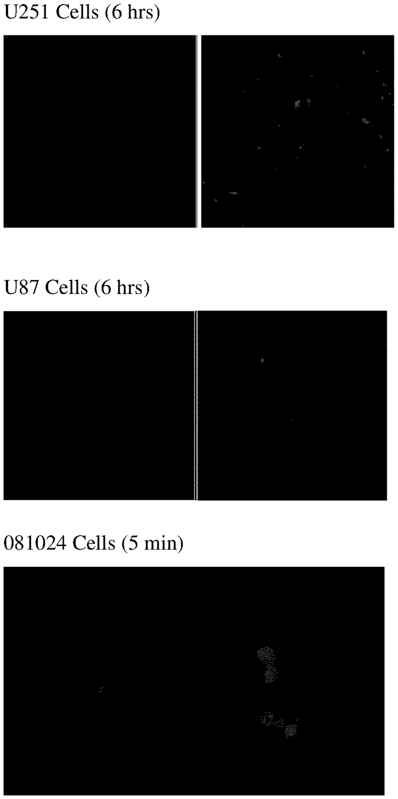 CYCLIC PEPTIDES AND USES THEREOF-US20240059740A1 - 专利顾如