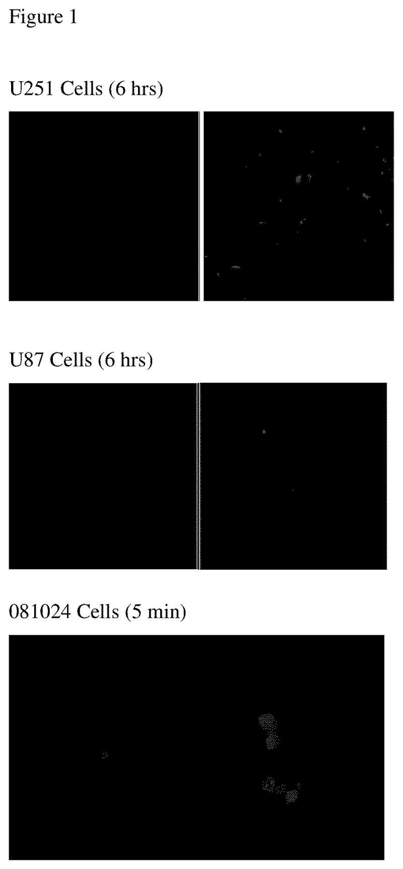 CYCLIC PEPTIDES AND USES THEREOF-US20240059740A1 - 专利顾如